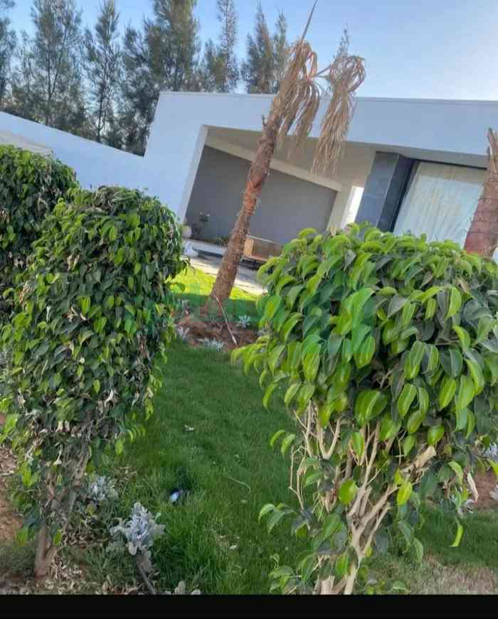 استراحه vip فرصه فوق ممتاز للراحه وسكن في النواقيه