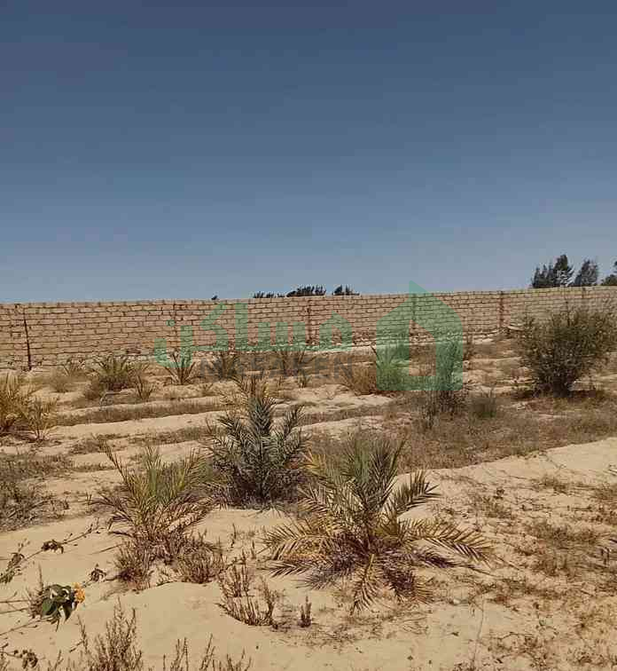 ثلاث قطع اراضي زراعيه ومنزل في منطقه امنه للبيع