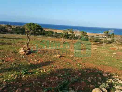 قطعة ارض قريبة من الطريق العام غرب منطقه كرسه