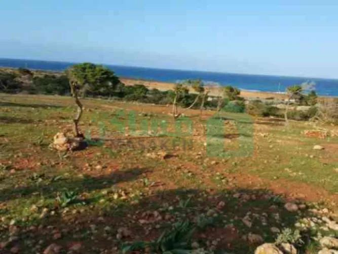 قطعة ارض قريبة من الطريق العام غرب منطقه كرسه