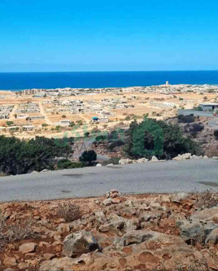 أرض للبيع 10000 هكتار مطله عالبحر