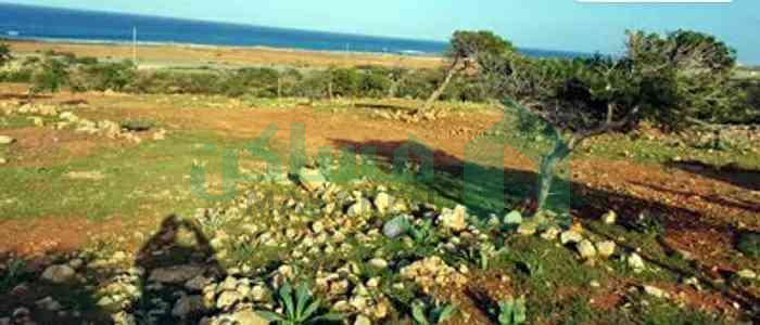 قطعة ارض قريبة من الطريق العام غرب منطقه كرسه