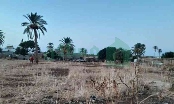 قطعة أرض للبيع في سوسه المدينه القديمه 3389م